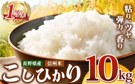 徳島県産コシヒカリ「阿波美人」令和5年産 5kg【1267525】 | 徳島県阿南市 | KABU&ふるさと納税 | 株がもらえるカブアンド