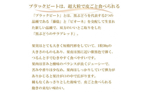 ＜先行予約＞【2024年8月発送開始】ブラックビート 700g×1房 TY0-0284