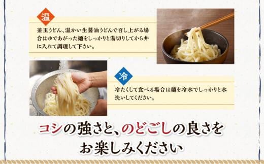 本家　池上製麺所　生うどん30食（鎌田醤油付）