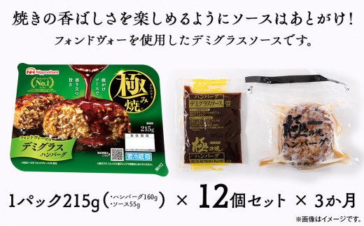 【定期便】極み焼きハンバーグ（デミグラスソース）セット定期便3か月 定期便 