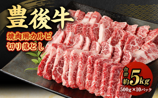 【大分県産】 豊後牛 焼肉用 カルビ 切り落とし 約5kg (約500g×10パック)