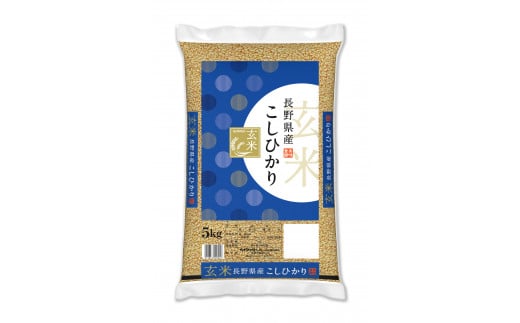 信州米 こしひかり ( 玄米 ) 5kg 長野県産 | 米 コシヒカリ 玄米 お米 信州米  5kg × 1袋 合計5kg 特産品 千曲市 長野県 信州