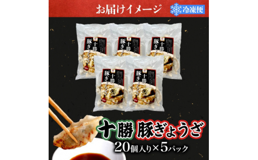 十勝 豚ぎょうざ 20個入り 5パック 十勝豚使用 北海道 大樹町【1530883】