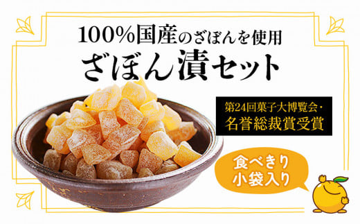 伝統銘菓 ざぼん漬セット 100g×12袋 菓子 お土産 茶菓子 和菓子 ドライフルーツ 大分県産 九州野菜 産地直送 九州産 津久見市 熨斗対応