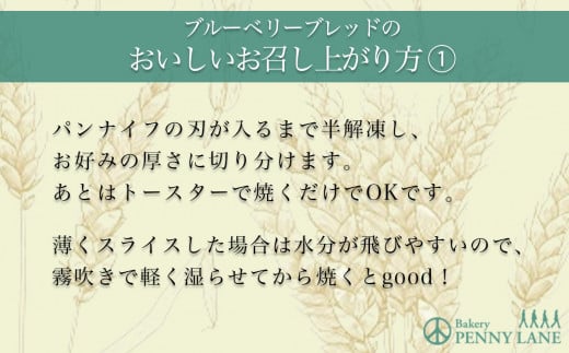 【6ヵ月定期便】ペニーレインのブルーベリーブレッド2 本＋ おまかせ 1本セット【 パン パン屋 茨城県 つくば市 ブルーベリー 冷凍パン お取り寄せ 人気 おすすめ ベーカリー グルメ プレゼント レストラン ドッグラン 】