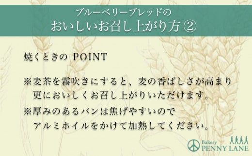 【6ヵ月定期便】ペニーレインのブルーベリーブレッド2 本＋ おまかせ 1本セット【 パン パン屋 茨城県 つくば市 ブルーベリー 冷凍パン お取り寄せ 人気 おすすめ ベーカリー グルメ プレゼント レストラン ドッグラン 】