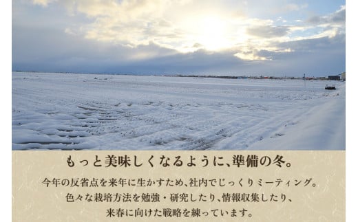 【令和6年産新米先行予約】新潟県産 新之助 玄米10kg 《5kg×2袋》 新潟 ブランド米 加茂市 加茂ユナイテッド