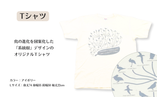 鳥の博物館オリジナルTシャツとグッズのセット（L／アイボリー）