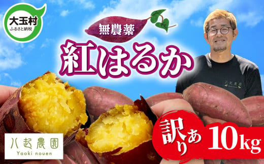 訳あり 無農薬 さつまいも 紅はるか  10kg 福島県 大玉村産 規格外 不揃い サイズ混合