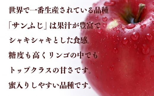 先行予約《2024年12月中旬～発送》ふじむら農園の盛岡りんご『サンふじ』約5kg（ご家庭用）【季節限定・数量限定】14玉～20玉 果物類 美味しい 生産 大人気 果汁 果肉 シャキシャキ 食感 絶品 高糖度