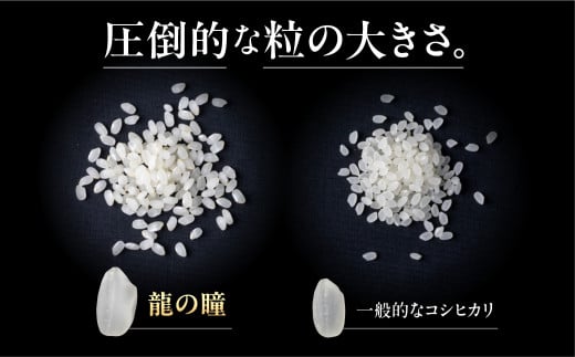 龍の瞳 2kg 2025年3月後半精米 龍の瞳 2kg 令和6年産 : 米問屋蔵之助 - 通販 - Yahoo!ショッピング