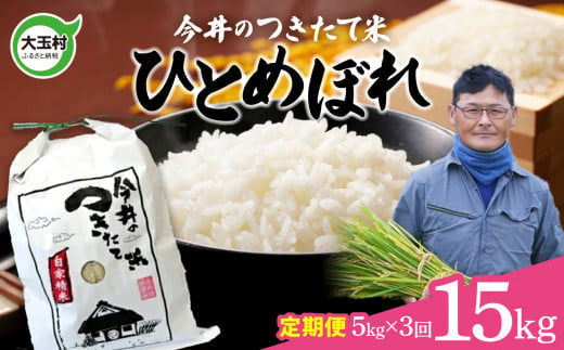 【令和6年産】【今井のつきたて米】 ひとめぼれ　１５ｋｇ（毎月５ｋｇ×3回）【OT08-013-R6】