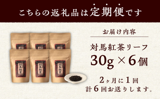 【全6回定期便】【2ヶ月に1回お届け】対馬紅茶リーフ30g×6個《対馬市》【つしま大石農園】長崎 対馬 ティー べにふうき茶葉 [WBE012]