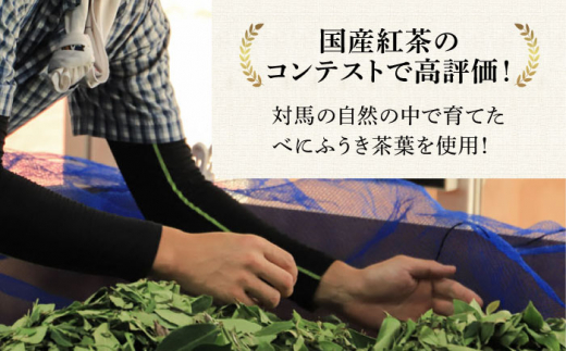 【全6回定期便】【2ヶ月に1回お届け】対馬紅茶リーフ30g×6個《対馬市》【つしま大石農園】長崎 対馬 ティー べにふうき茶葉 [WBE012]