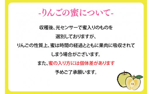 ★オンライン限定★ りんご 冬恋はるか 約2.5kg 糖度15度以上【先行予約 12月発送】数量限定 岩手県産 りんご リンゴ 林檎 冬恋 はるか フルーツ くだもの 果物 【冬恋研究会】 (AI007)