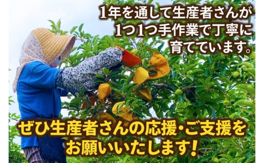 ★オンライン限定★ りんご 冬恋はるか 約2.5kg 糖度15度以上【先行予約 12月発送】数量限定 岩手県産 りんご リンゴ 林檎 冬恋 はるか フルーツ くだもの 果物 【冬恋研究会】 (AI007)