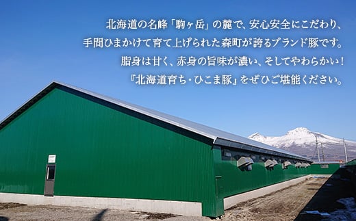 選べる配送月 5月発送 【北海道育ち ひこま豚】豚肩ロース肉1.2kg しゃぶしゃぶ・すき焼き用 ＜酒仙合縁 百将＞ 森町 しゃぶしゃぶ すき焼き 北海道産 ふるさと納税 北海道 mr1-0332-5