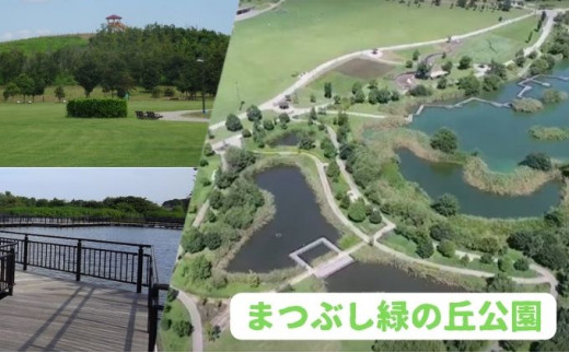 まつぶし緑の丘公園 手ぶら バーベキュー お楽しみバーベキュー食材セット 2名様