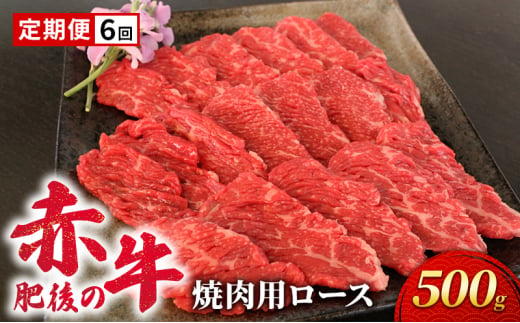 定期便 6ヶ月 あか牛 焼肉 ロース 500g 肥後の赤牛 肉 お肉 牛肉 牛 焼き肉 焼肉用 6回 お楽しみ