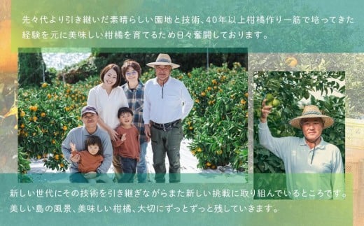柑橘の大トロ！完熟ハウスせとか  5kg 2026年2月中旬～発送予定【フルーツ 人気 お取り寄せ 産地直送 もりの農園 ドルチェみかん みかん せとか 柑橘 果物 フルーツ 産地直送 人気 おすすめ 瀬戸内 広島県  尾道市】