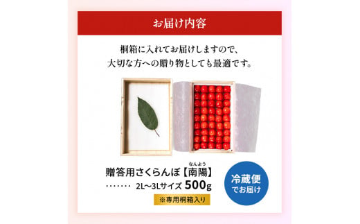 北海道 仁木町産「匠」 贈答用 さくらんぼ 【 南陽 】 桐箱入 500g 嶋田茂農園