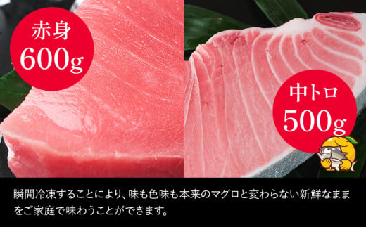 本マグロ まぐろ 中トロ 約500g・赤身 約600gセット 鮪 海鮮丼 刺し身 刺身 盛り合わせ 冷凍 魚の刺身 大分県産 九州産 津久見市 熨斗対応