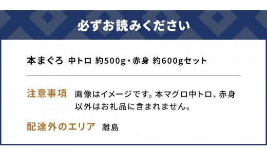 本マグロ まぐろ 中トロ 約500g・赤身 約600gセット 鮪 海鮮丼 刺し身 刺身 盛り合わせ 冷凍 魚の刺身 大分県産 九州産 津久見市 熨斗対応