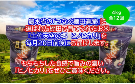 農林水産省の「つなぐ棚田遺産」に選ばれた棚田で育てられた 土佐天空の郷 ヒノヒカリ 4kg定期便  毎月お届け　全12回