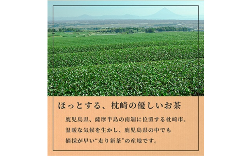 ＜お歳暮・のし付き＞(一番茶のみ使用)ほっこり煎茶 100g×3袋 A5-1S【1460812】