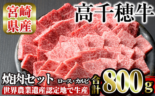 高千穂牛 焼き肉セット(ロース・カルビ各400g)国産 宮崎県産 宮崎牛 牛肉 焼肉 ロース カルビ 霜降り A4 和牛 ブランド牛【MT014】【JAみやざき 高千穂牛ミートセンター】