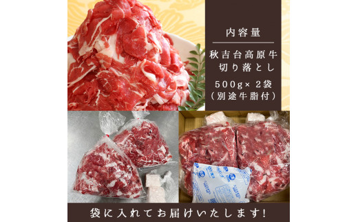 【定期便 3回】 秋吉台高原牛 切り落とし 合計 1kg  ( 約500g × 2 ) ｜ 3回 1000ｇ 数量限定 お肉 牛 肉 牛肉 にく 切り落とし 3kg 食べ物 長州 ブランド 限定 国産 山口 県 美祢市 秋吉台 高原 お礼の品 返礼品 送料無料 定期便