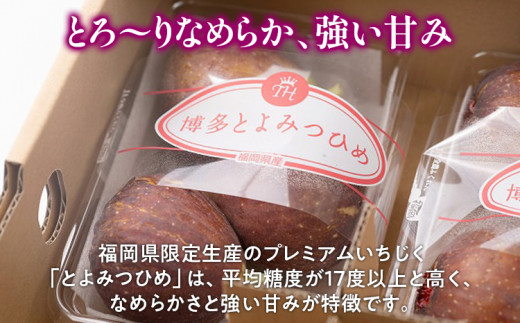 期間限定 いちじく 「とよみつひめ」 1.2kg 福岡県産ブランド フルーツ 無花果 (約300g×4パック) 1200g 南国フルーツ CO013