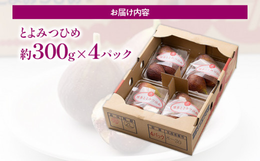 期間限定 いちじく 「とよみつひめ」 1.2kg 福岡県産ブランド フルーツ 無花果 (約300g×4パック) 1200g 南国フルーツ CO013