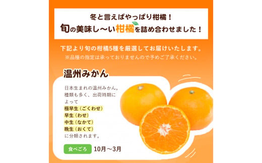 柑橘詰め合わせセット(5種類・10kg以上) 《12月上旬-1月上旬頃出荷予定》山本果樹園 果物 フルーツ みかん