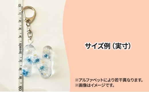 [№5695-1553]ハンドメイド イニシャルチャーム 2個セット おしまちゃん入り