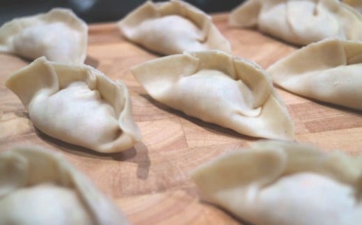 ［ビーガン・完全無添加］有機小麦・大豆の冷凍餃子