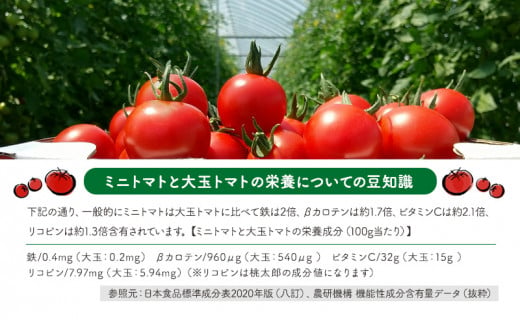 ミニトマト ジュース（北海道 仁木町産 ミニトマト 100％）180ml×10本 ～ 無塩 無糖 保存料無添加