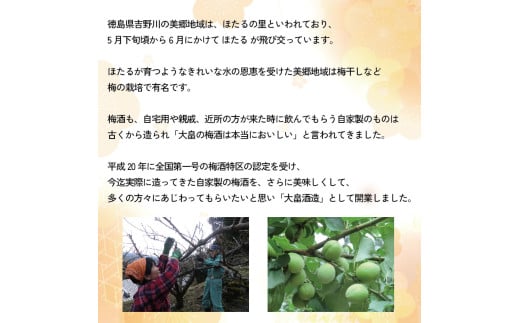 梅酒 ほたるの宿 500ml 1本 熟成 4年 辛口 甘さ控えめ 梅 うめ 果物 フルーツ うめしゅ 酒  果実酒 さけ ビール ハイボール チューハイ 焼酎 日本酒 ウイスキー ワイン ギフト 贈答 プレゼント 送料無料 徳島県 吉野川市