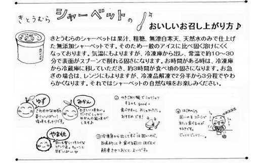 きとうむら シャーベット3種セット  KM-3 徳島 那賀 木頭ゆず 木頭ユズ 木頭柚子 【みかん ゆず やまもも】スイーツ シャーベット アイスギフト 詰め合わせ プレゼント プチギフト ギフト 氷菓 