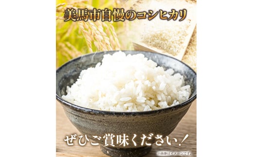 米 10kg 令和6年産 コシヒカリ《30日以内(土日祝除く)に出荷》精米10kg 美馬市産 アグリサポート美馬 コシヒカリ 米 白米 白米10kg 精米 送料無料 徳島県 美馬市