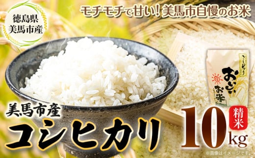 米 10kg 令和6年産 コシヒカリ《30日以内(土日祝除く)に出荷》精米10kg 美馬市産 アグリサポート美馬 コシヒカリ 米 白米 白米10kg 精米 送料無料 徳島県 美馬市