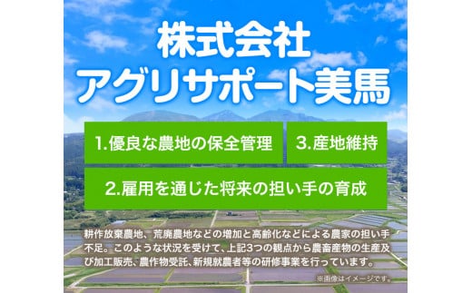 米 10kg 令和6年産 コシヒカリ《30日以内(土日祝除く)に出荷》精米10kg 美馬市産 アグリサポート美馬 コシヒカリ 米 白米 白米10kg 精米 送料無料 徳島県 美馬市