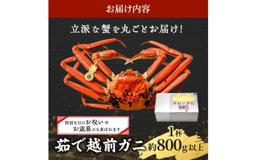 期間限定 茹で 越前ガニ 約800g以上 1杯 年末配送 食通もうなる本場の味をぜひ、ご堪能ください 越前かに 蟹 カニ かに ボイルカニ ボイル蟹 ポーション ズワイガニ 海鮮 限定 福井 福井県 若狭町 [№5580-0029]