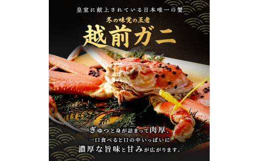 期間限定 茹で 越前ガニ 約800g以上 1杯 年末配送 食通もうなる本場の味をぜひ、ご堪能ください 越前かに 蟹 カニ かに ボイルカニ ボイル蟹 ポーション ズワイガニ 海鮮 限定 福井 福井県 若狭町 [№5580-0029]