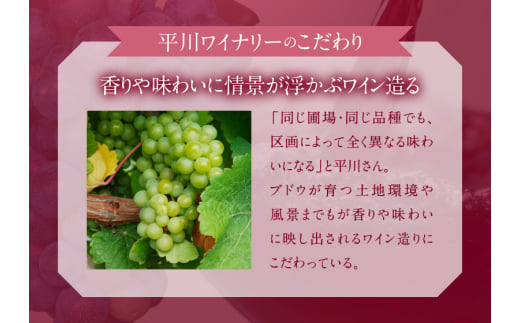 【余市町感謝祭2024】lot56　平川ワイナリー「シリマ テール・ド・ヨイチ2023」＆ニッカウヰスキー「余市」とボッテガパルコフィエラのサラミセット