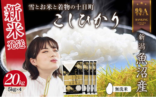 【新米発送】 無洗米 令和6年産 新潟県 魚沼産 コシヒカリ お米 20kg （5kg×4袋）精米済み（お米の美味しい炊き方ガイド付き） お米 こめ 白米 新米 こしひかり 食品 人気 おすすめ 送料無料 魚沼 十日町 十日町市 新潟県産 新潟県 精米 産直 産地直送 お取り寄せ