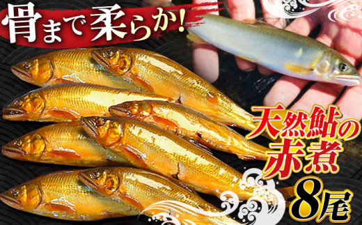 清流長良川 天然鮎 赤煮 郷土料理 煮魚 新鮮 岐阜市/天然鮎専門 結の舟 [ANBN001]