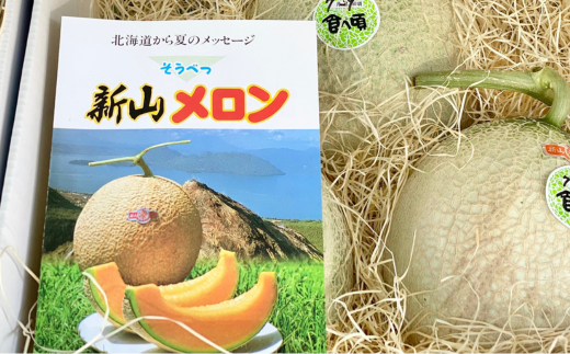 ＜2025年7月下旬よりお届け＞北海道壮瞥産 赤肉メロン（ニューキングメロン）2玉 約3kg【 ふるさと納税 人気 おすすめ ランキング メロン めろん ニューキングメロン 果物 甘い 赤肉 北海道 壮瞥町 送料無料 】 SBTN003