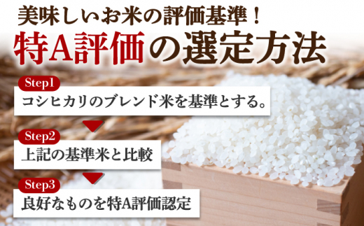 〈受付一時停止中〉【数量限定】【6回定期便】【令和5年産】さがびより 計60kg（5kg×2袋×6回） 吉野ヶ里町/増田米穀  [FBM034]