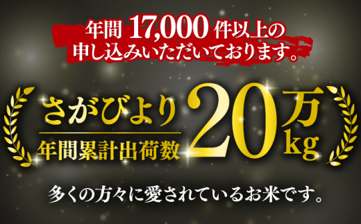 〈受付一時停止中〉【数量限定】【6回定期便】【令和5年産】さがびより 計60kg（5kg×2袋×6回） 吉野ヶ里町/増田米穀  [FBM034]